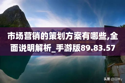 市场营销的策划方案有哪些,全面说明解析_手游版89.83.57