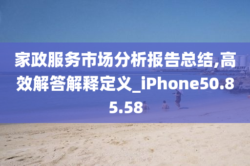 家政服务市场分析报告总结,高效解答解释定义_iPhone50.85.58