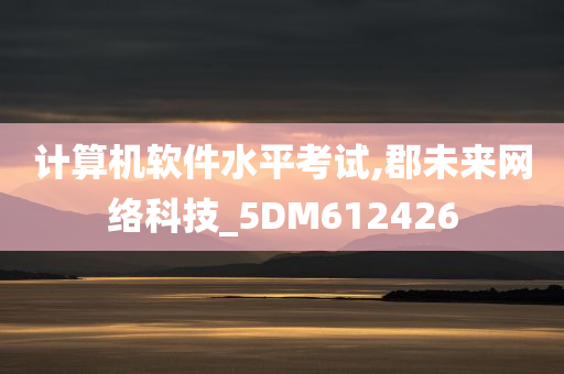 计算机软件水平考试,郡未来网络科技_5DM612426