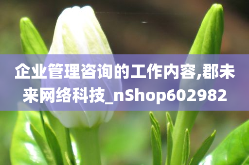 企业管理咨询的工作内容,郡未来网络科技_nShop602982