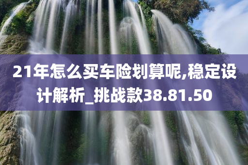 21年怎么买车险划算呢,稳定设计解析_挑战款38.81.50