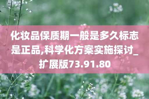 化妆品保质期一般是多久标志是正品,科学化方案实施探讨_扩展版73.91.80