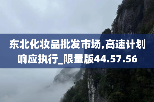 东北化妆品批发市场,高速计划响应执行_限量版44.57.56