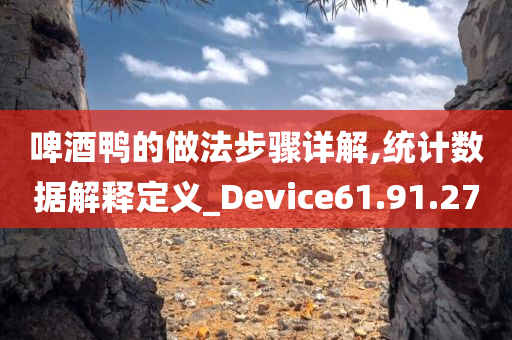 啤酒鸭的做法步骤详解,统计数据解释定义_Device61.91.27