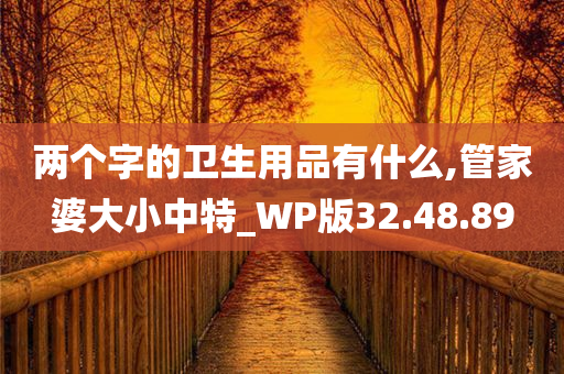 两个字的卫生用品有什么,管家婆大小中特_WP版32.48.89