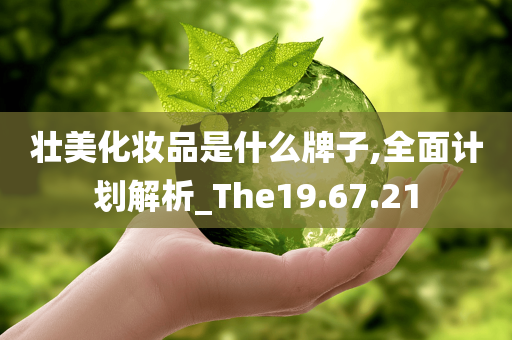 壮美化妆品是什么牌子,全面计划解析_The19.67.21