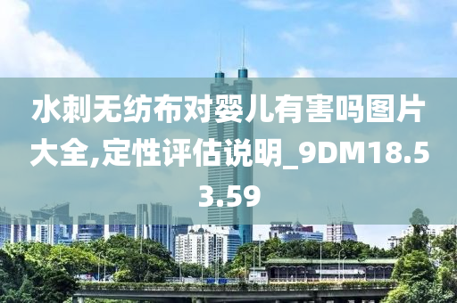 水刺无纺布对婴儿有害吗图片大全,定性评估说明_9DM18.53.59