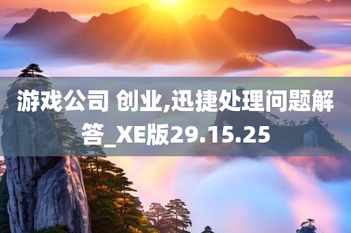 游戏公司 创业,迅捷处理问题解答_XE版29.15.25