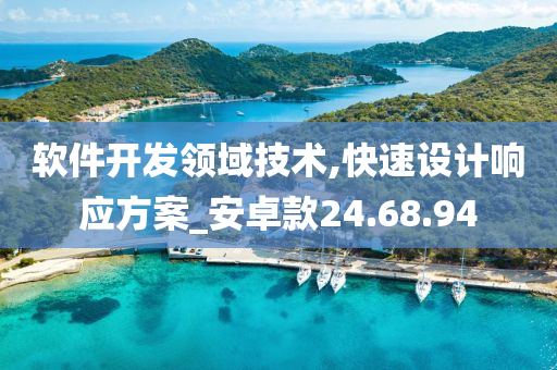 软件开发领域技术,快速设计响应方案_安卓款24.68.94