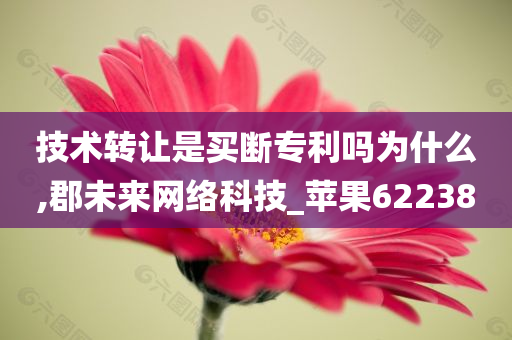 技术转让是买断专利吗为什么,郡未来网络科技_苹果622380