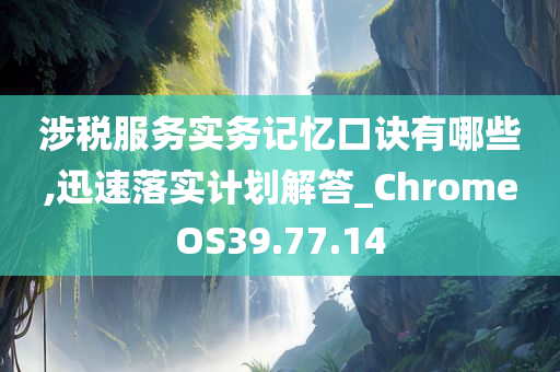 涉税服务实务记忆口诀有哪些,迅速落实计划解答_ChromeOS39.77.14