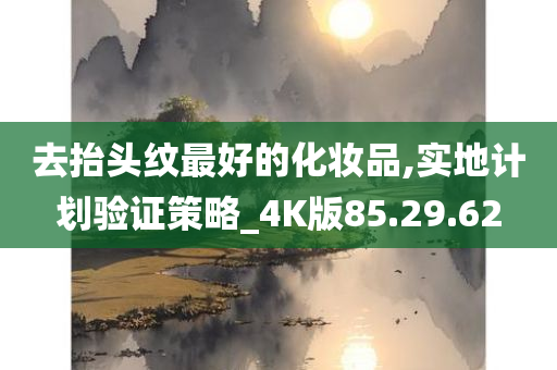 去抬头纹最好的化妆品,实地计划验证策略_4K版85.29.62