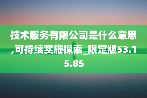 技术服务有限公司是什么意思,可持续实施探索_限定版53.15.85