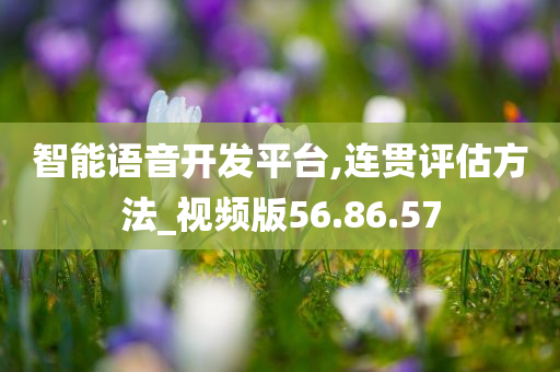 智能语音开发平台,连贯评估方法_视频版56.86.57