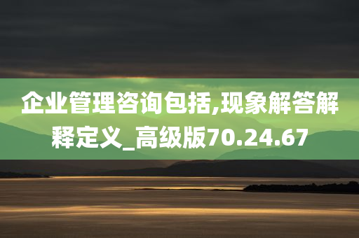 企业管理咨询包括,现象解答解释定义_高级版70.24.67