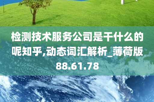 检测技术服务公司是干什么的呢知乎,动态词汇解析_薄荷版88.61.78