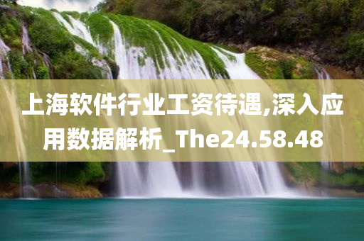 上海软件行业工资待遇,深入应用数据解析_The24.58.48