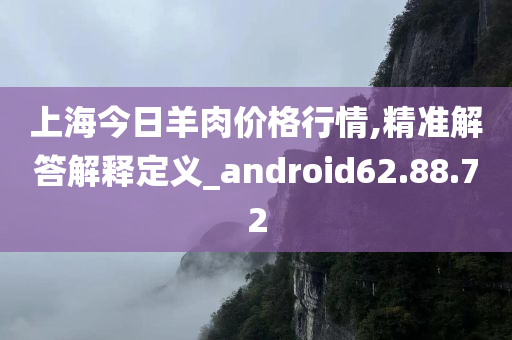 上海今日羊肉价格行情,精准解答解释定义_android62.88.72