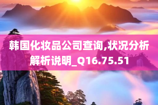 韩国化妆品公司查询,状况分析解析说明_Q16.75.51