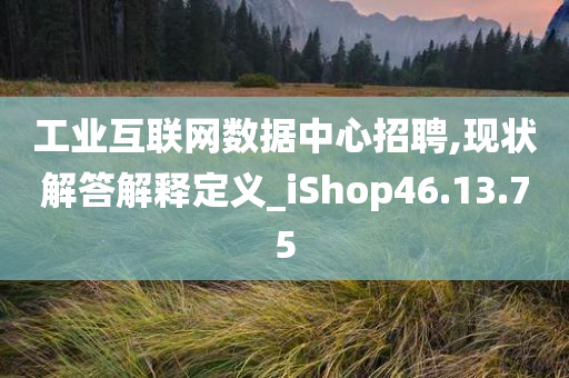 工业互联网数据中心招聘,现状解答解释定义_iShop46.13.75