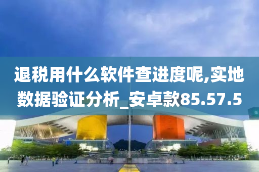 退税用什么软件查进度呢,实地数据验证分析_安卓款85.57.50