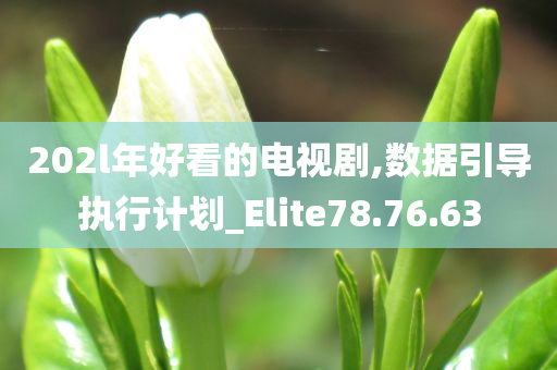 202l年好看的电视剧,数据引导执行计划_Elite78.76.63