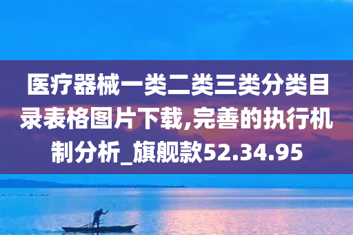 医疗器械一类二类三类分类目录表格图片下载,完善的执行机制分析_旗舰款52.34.95