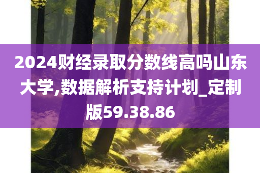 2024财经录取分数线高吗山东大学,数据解析支持计划_定制版59.38.86