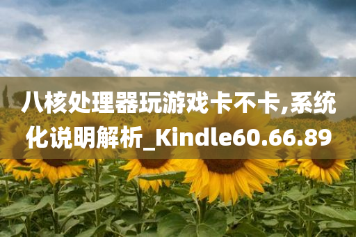 八核处理器玩游戏卡不卡,系统化说明解析_Kindle60.66.89