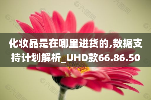 化妆品是在哪里进货的,数据支持计划解析_UHD款66.86.50