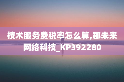 技术服务费税率怎么算,郡未来网络科技_KP392280