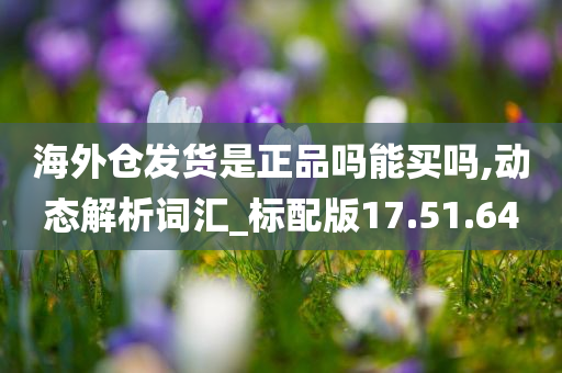 海外仓发货是正品吗能买吗,动态解析词汇_标配版17.51.64