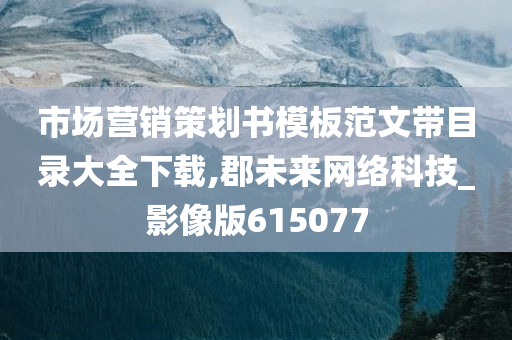 市场营销策划书模板范文带目录大全下载,郡未来网络科技_影像版615077