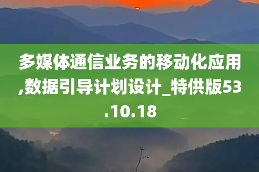 多媒体通信业务的移动化应用,数据引导计划设计_特供版53.10.18