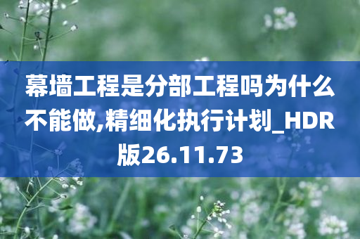 幕墙工程是分部工程吗为什么不能做,精细化执行计划_HDR版26.11.73