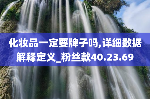 化妆品一定要牌子吗,详细数据解释定义_粉丝款40.23.69