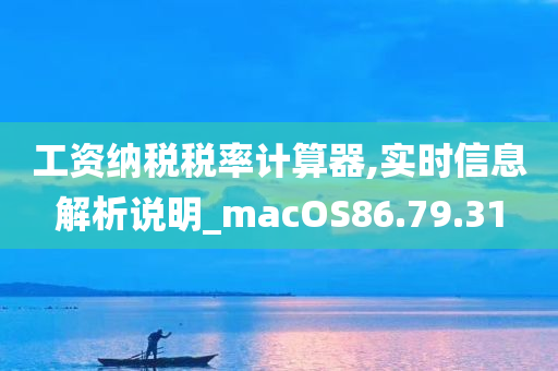 工资纳税税率计算器,实时信息解析说明_macOS86.79.31