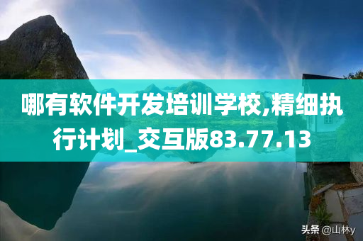 哪有软件开发培训学校,精细执行计划_交互版83.77.13