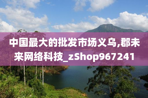 中国最大的批发市场义乌,郡未来网络科技_zShop967241