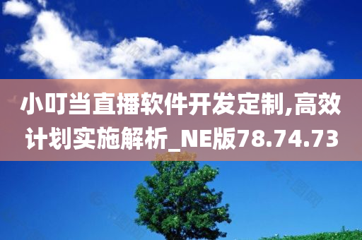 小叮当直播软件开发定制,高效计划实施解析_NE版78.74.73