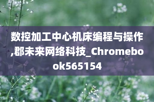 数控加工中心机床编程与操作,郡未来网络科技_Chromebook565154