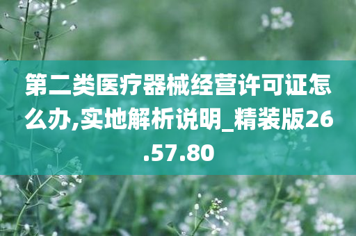 第二类医疗器械经营许可证怎么办,实地解析说明_精装版26.57.80