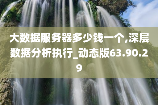 大数据服务器多少钱一个,深层数据分析执行_动态版63.90.29