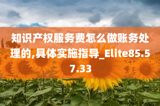 知识产权服务费怎么做账务处理的,具体实施指导_Elite85.57.33