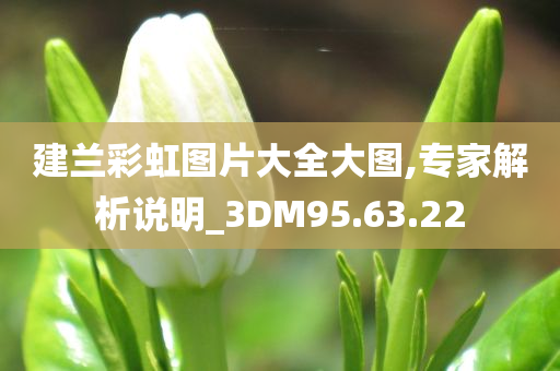 建兰彩虹图片大全大图,专家解析说明_3DM95.63.22