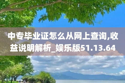 中专毕业证怎么从网上查询,收益说明解析_娱乐版51.13.64