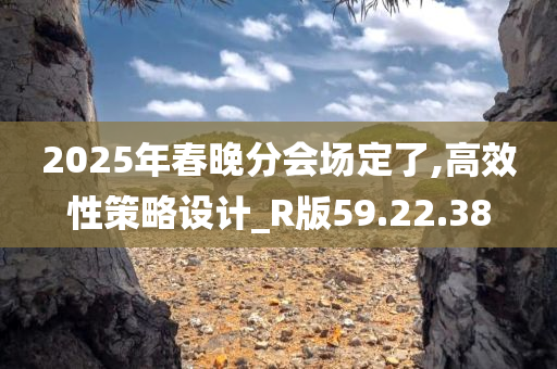 2025年春晚分会场定了,高效性策略设计_R版59.22.38