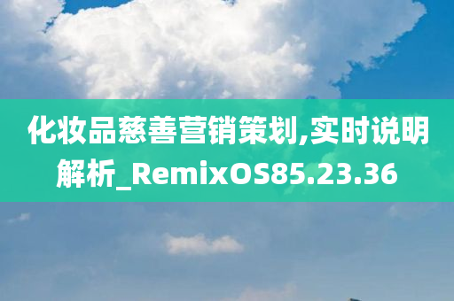 化妆品慈善营销策划,实时说明解析_RemixOS85.23.36