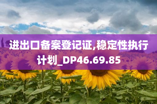 进出口备案登记证,稳定性执行计划_DP46.69.85