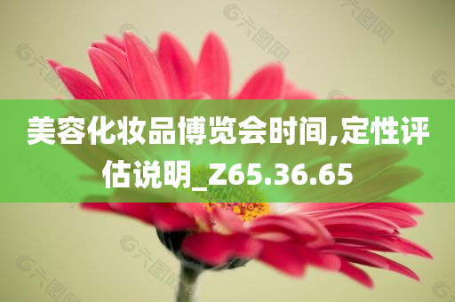 美容化妆品博览会时间,定性评估说明_Z65.36.65